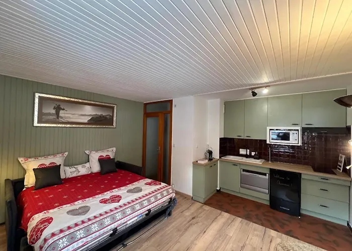 Studio Dent Du Caiman, Chamonix Hyper Centre, Parking, Vue Mont Blanc