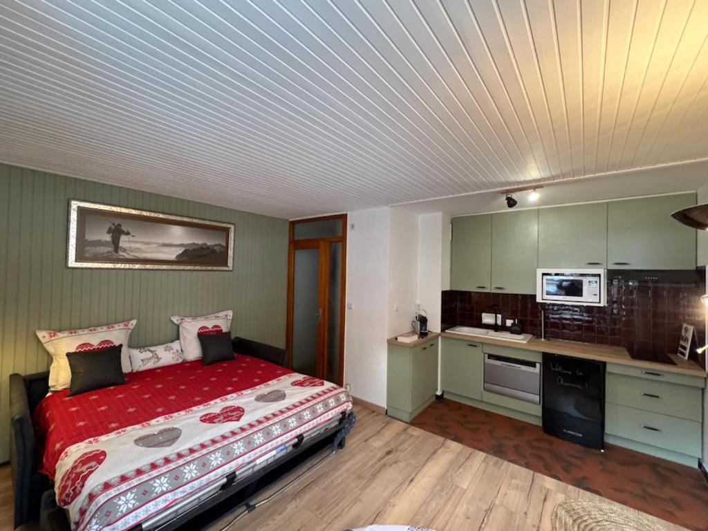 Appartement Dent Du Caiman, Hyper Centre, Parking, Vue Mont Blanc
