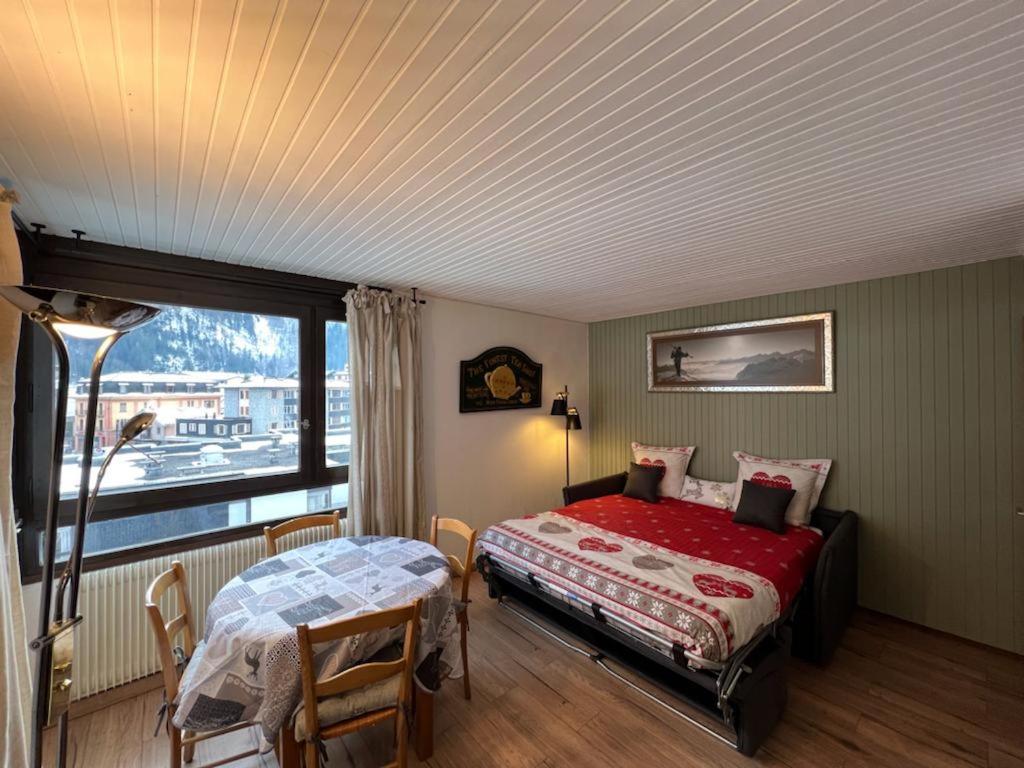 Dent Du Caiman, Hyper Centre, Parking, Vue Mont Blanc Appartement